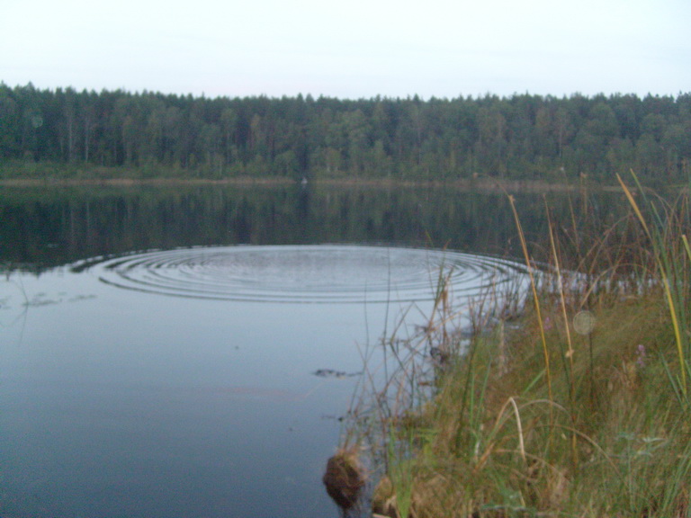 Озеро Круглое 2